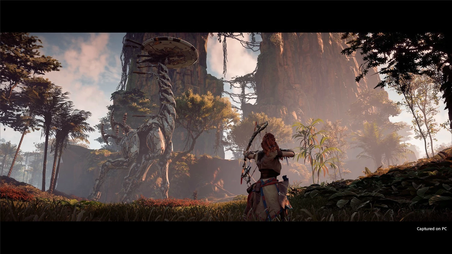 《地平线：零之曙光》v1.0.11.14 完全版 -1