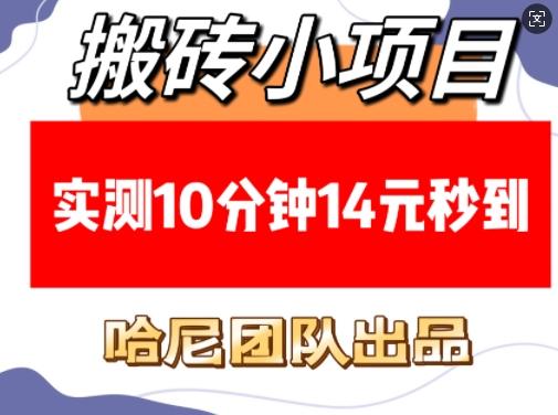 搬砖小项目，实测10分钟14元秒到，每天稳定几张(赠送必看稳定)-1