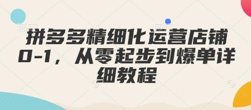拼多多精细化运营店铺0-1，从零起步到爆单详细教程-1