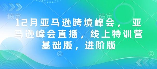 12月亚马逊跨境峰会， 亚马逊峰会直播，线上特训营基础版，进阶版-1