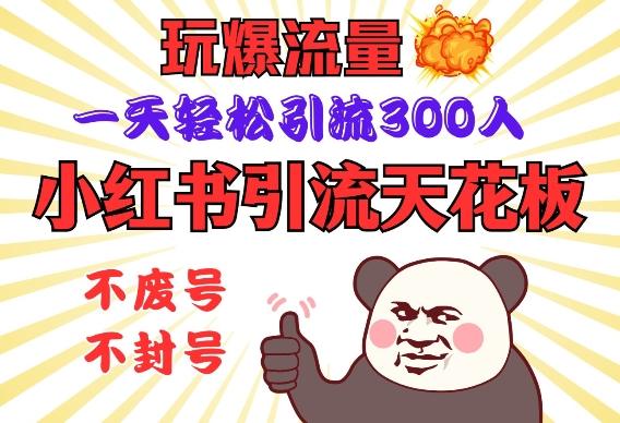 小红书引流天花板，玩爆流量，一天轻松引流300人，安全操作-1
