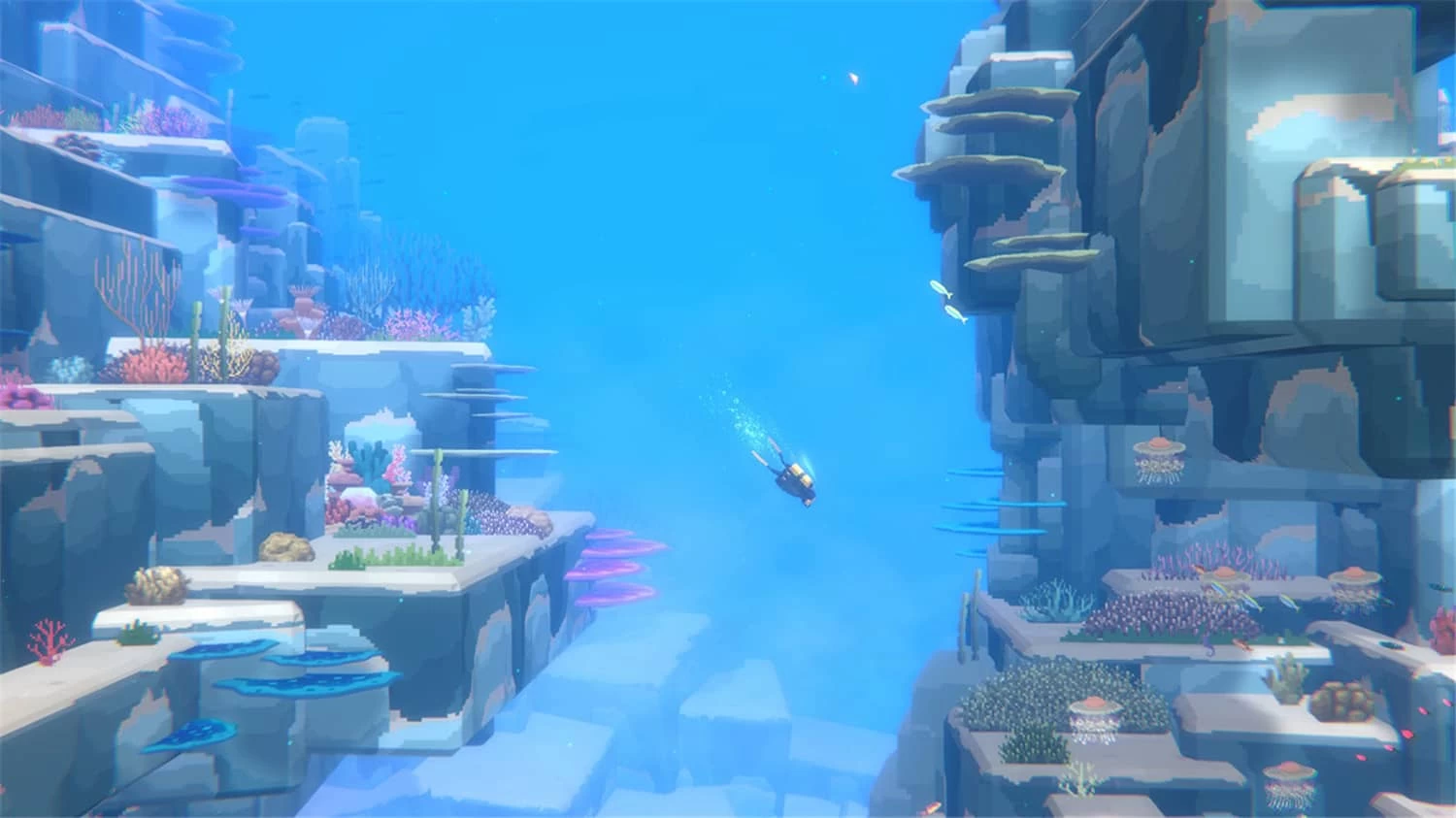 《潜水员戴夫》v1.0.3.1569 中文版 -3