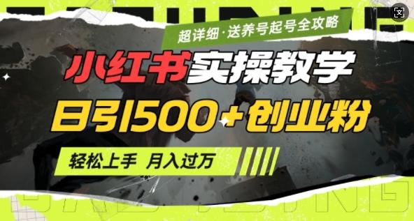 2月小红书最新日引500+创业粉实操教学【超详细】小白轻松上手，月入1W+，附小红书养号起号SOP-1