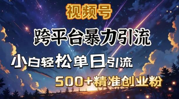 跨平台暴力引流，私域完美闭环，日引500+精准创业粉-1