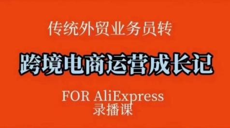 跨境电商速卖通运营课，​运营方法论+后台实操，逻辑清晰-1