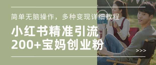 小红书混剪日引200+宝妈创业粉，简单无脑操作，多种变现详细教程-1