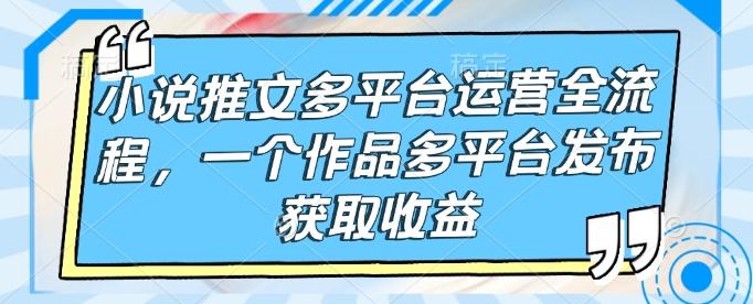 小说推文多平台运营全流程，一个作品多平台发布获取收益-1