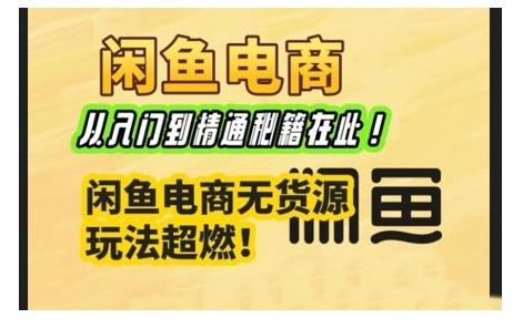 闲鱼电商实战课，从入门到精通秘籍在此，闲鱼电商无货源玩法超燃!-1