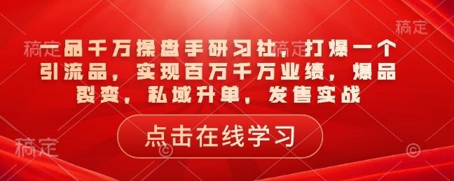 一品千万操盘手研习社，打爆一个引流品，实现百万千万业绩，爆品裂变，私域升单，发售实战-1