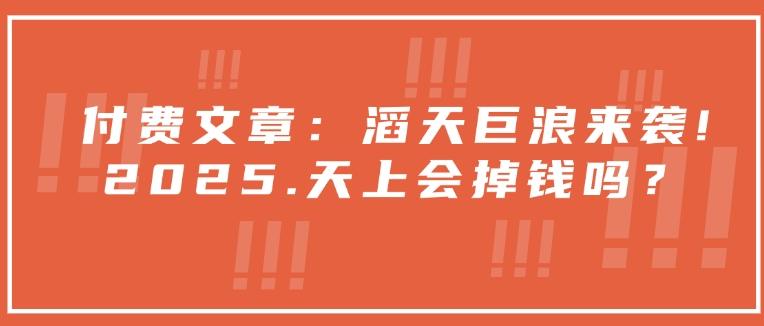 付费文章：滔天巨浪来袭！2025天上会掉钱吗？-1