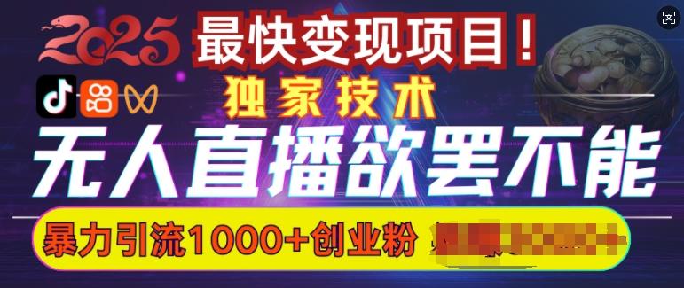欲罢不能的无人直播引流，超暴力日引流1000+高质量精准创业粉-1