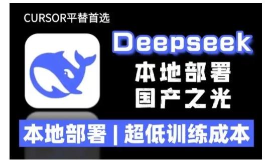 2025年deepseek R1 大型模型本地安装部署(文件+教程)本地部署，超低训练成本-1