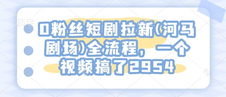 0粉丝短剧拉新(河马剧场)全流程，一个视频搞了2954-1