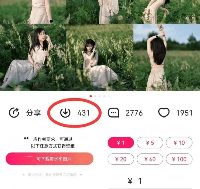 最新图虫搬运项目，收益无上限，利用AI小白也可日赚500+-1