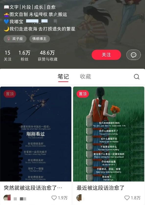 小红书治愈文案图文笔记，零门槛，一分钟制作轻松制作爆款作品月入万元-2
