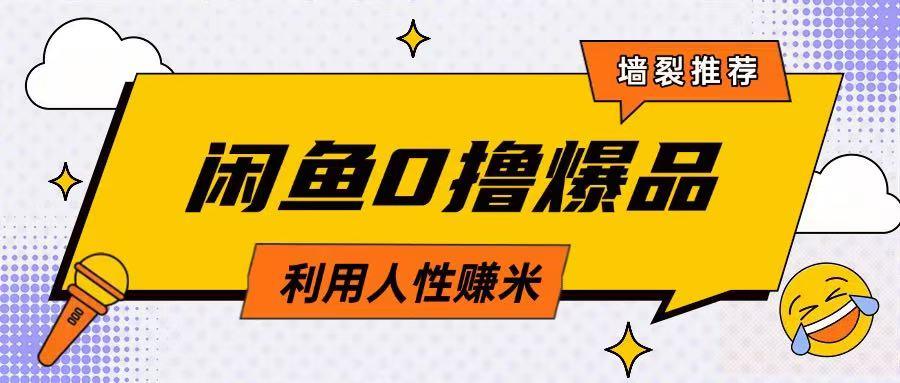 咸鱼0撸玩法利用人性售卖商品达到日挣2张的效果-1