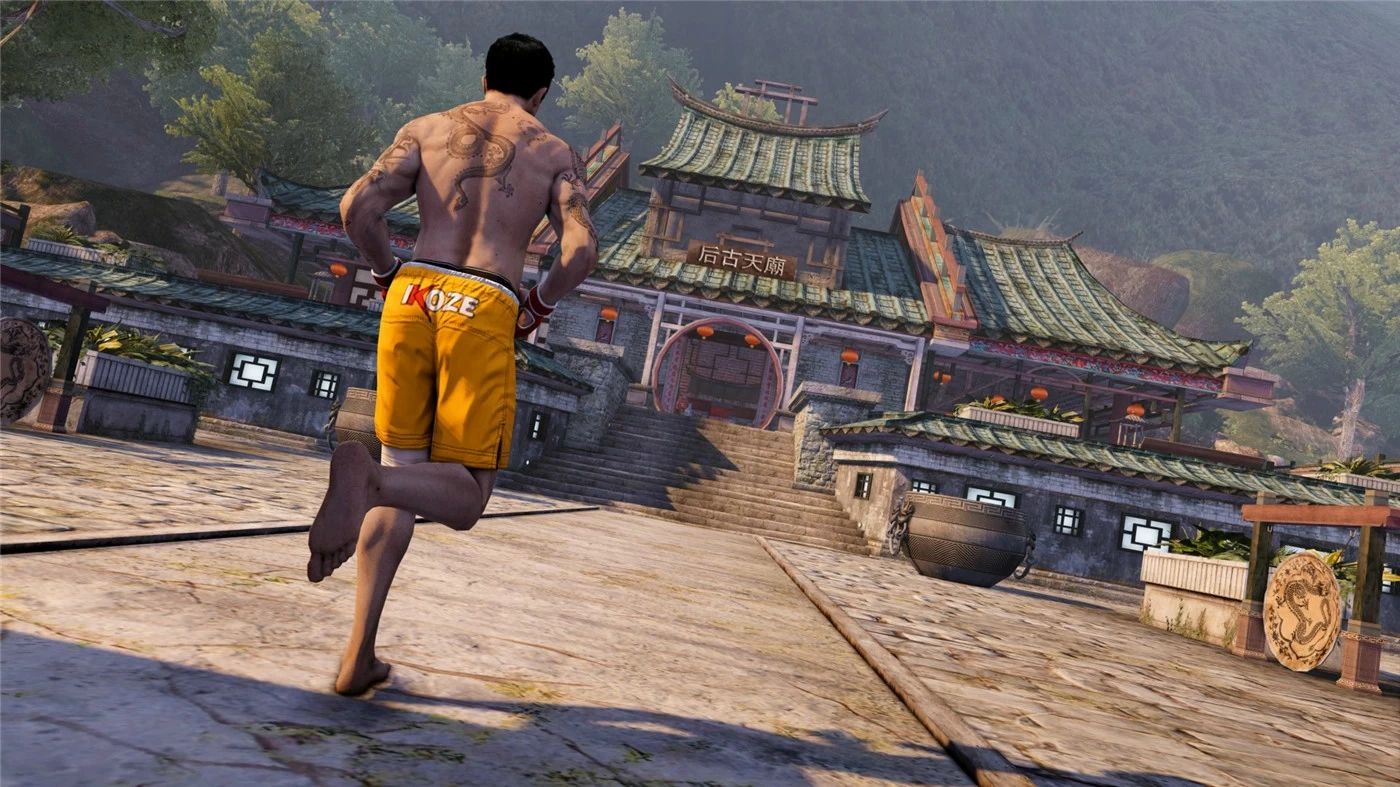 《Sleeping Dogs 热血无赖》v2.1.437044 全 30DLC+ 高清材质包 中文版 -1