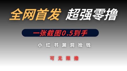 全网首发无限零撸捡钱项目，小红书一张截图0.5元可无限零撸