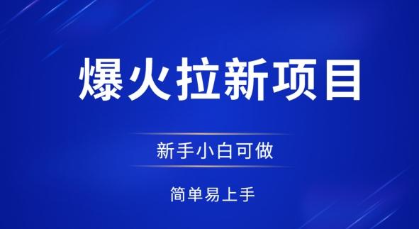 爆火拉新项目，有手就行，小白轻松入门，日入1张拉新整套流程