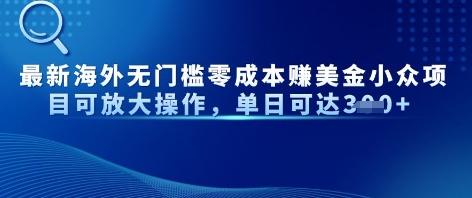 最新海外无门槛美金小众项目可放大操作，单日可达3张