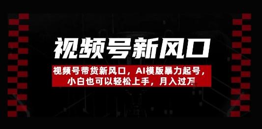 视频号带货新风口，AI模版暴力起号，小白也可以轻松上手，月入过W-1