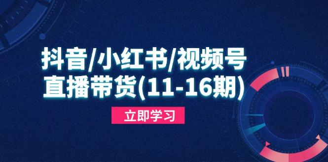抖音/小红书/视频号/直播带货，快速掌握平台规则，打造爆款内容