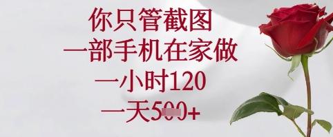你只管截图，一部手机在家可以做，一小时120.一天5张+