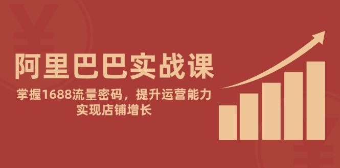 阿里巴巴实战课：掌握1688流量密码，提升运营能力，实现店铺增长