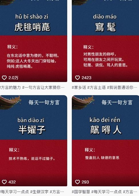 抖音最新涨粉玩法，图文方言暴力涨粉实操，126作品涨粉11W-2