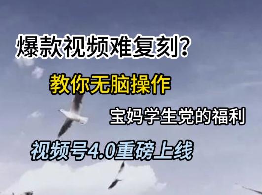 视频号4.0重磅上线，爆款视频难复刻？教你无脑操作宝妈学生党的福利