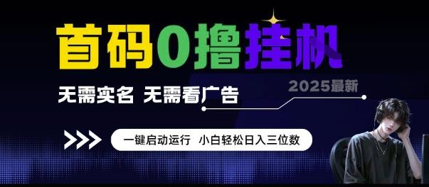 首码0撸挂G项目，无需实名无需看广告 一键启动运行，小白轻松日入三位数