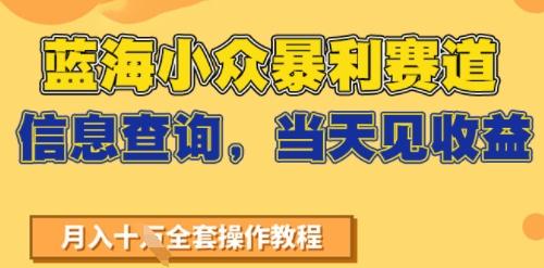 蓝海小众暴利赛道，信息查询，当天见收益，不讲玄学，7天搞了2W+-1