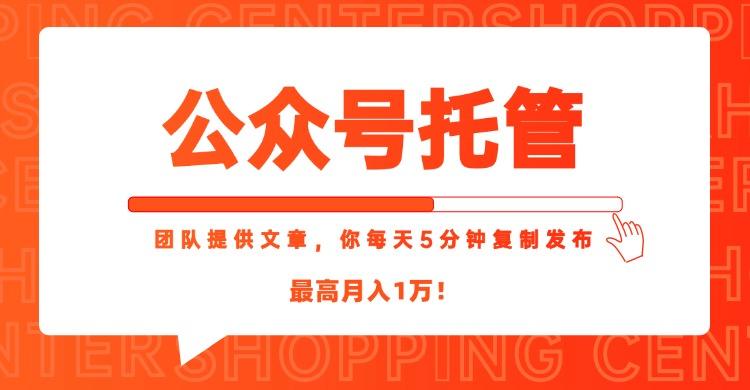 【公众号托管 】我提供文章，你每天５分钟复制发布，最高月入1W-1