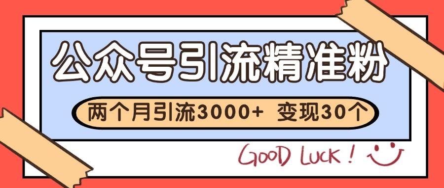 公众号精准粉引流玩法 2个月3000+精准粉 变现30万+-1