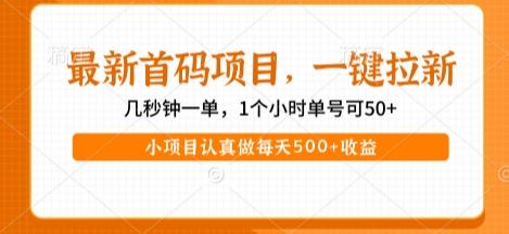 最新首码项目，操作最简单，收益高，一键拉新，1个小时单号可50+，小项目认真做每天5张+收益