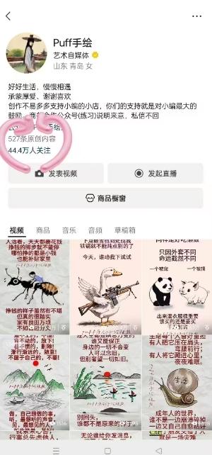 Puff手绘视频号分成项目，三天过分成计划，简单易上手，适合新手-2