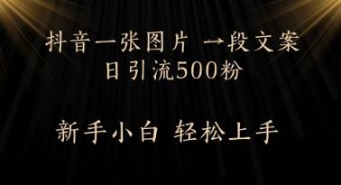 每天2分钟，抖音一张图片 一段文案日引流500粉